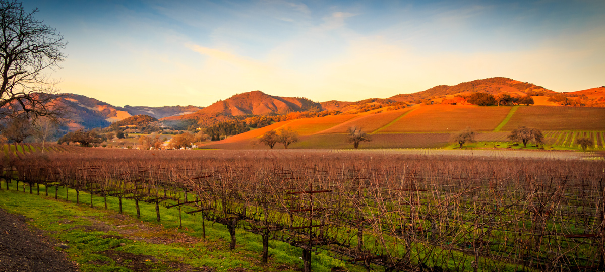 California: Wine Country
