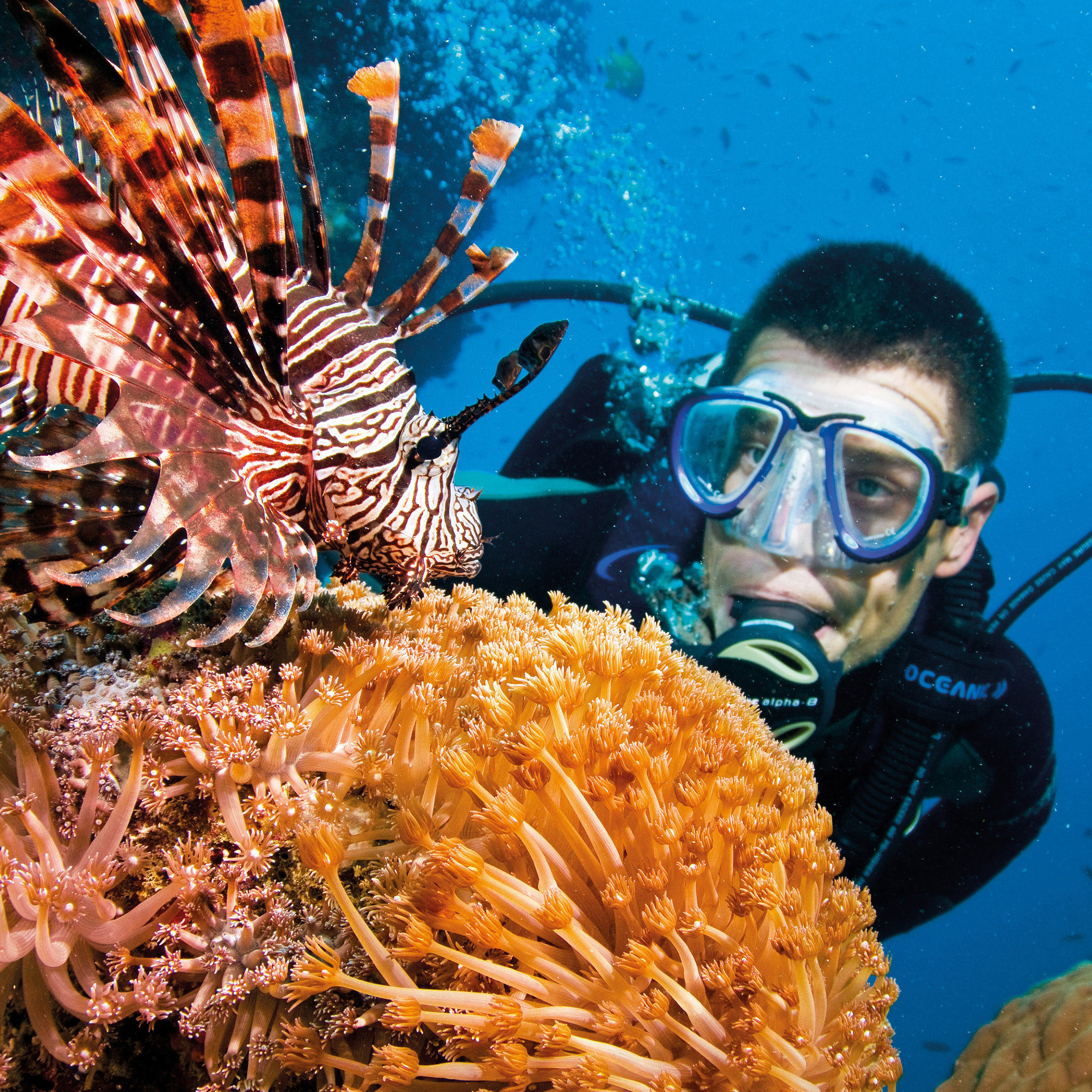 Hands-on conservation efforts in the Great Barrier Reef