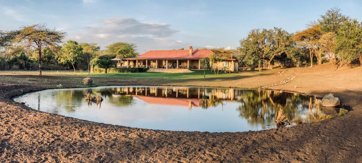 giraffe hotel tanzania africa