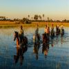 A&K East and Southern Africa - Walking & Horse Riding Safaris