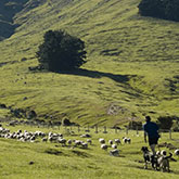 Spring Farm Activities at Annandale