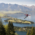 New Ziplining Tour in an Ancient New Zealand Forest
