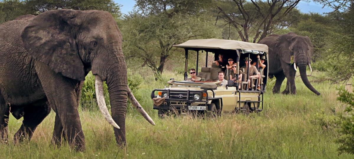 The Ultimate Multi-Generational Tanzanian Safari